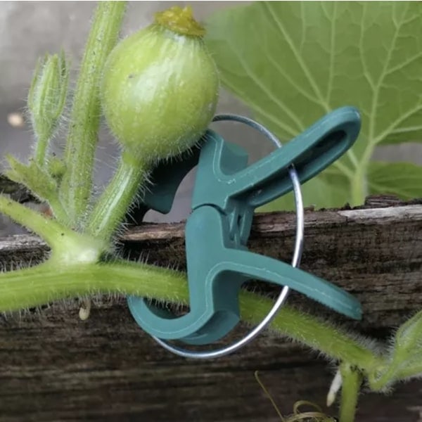 Planteclips / Klemmer - 108 stk Small