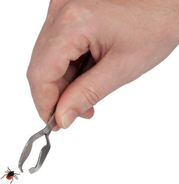 Flåtfjerner i rustfrit stål - Pincet - 13 cm