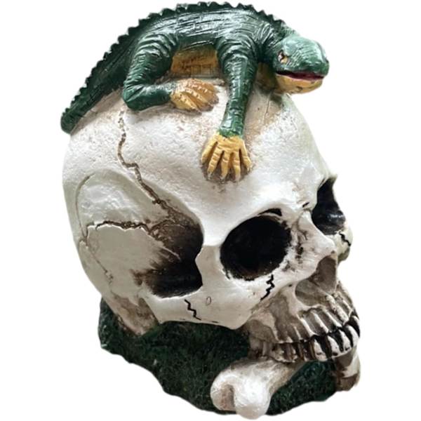 Halloween kraniehoveddekoration | Kunstharve firben skelet håndværk | Uhyggelig men dekorativ | Perfekt til skole, hjem, gård, hjemsøgt dekoration 1 st