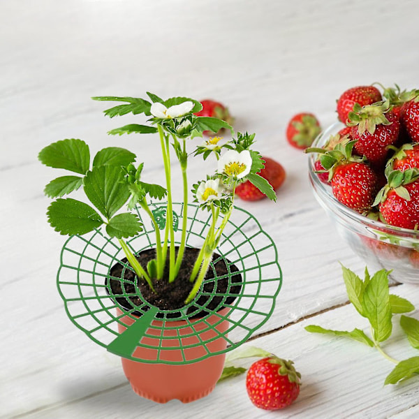 (100-pack) Jordgubbsplantstöd för krukväxter, Solrosstöd, Förhindrar mögel och mjöldagg, Ökar skörden, Lätt att montera och förvara