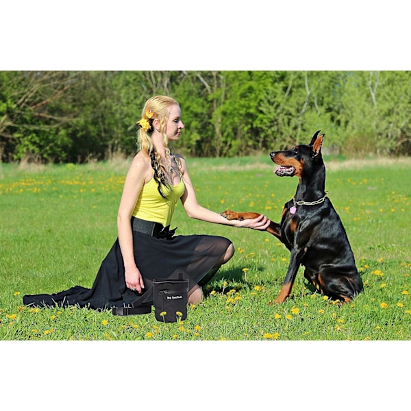 Treningspose for hundegodteri, hundegodteripose med magnetlås og treningsklikker, hundegodteripose for hundvalper, belønningsposer, hundegodteripose