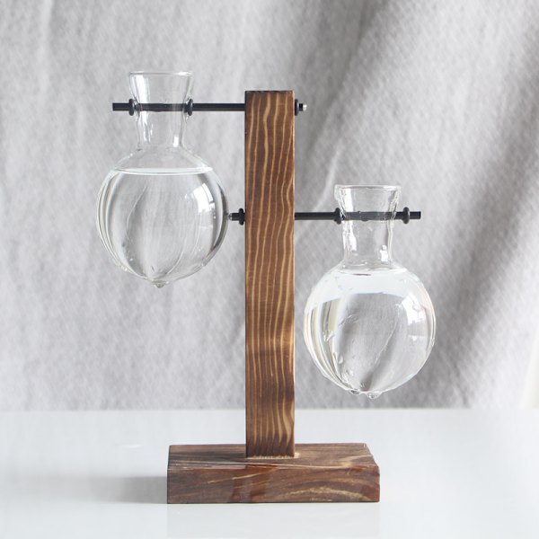 Kreativ træram Hydroponisk vase Grøn dild plante klart glas
