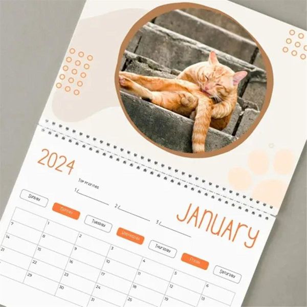 Morsom kalender - Morsom gave - Katter Stjärt Kalender 2024 - Fancy gaver - -pop - Testikler -