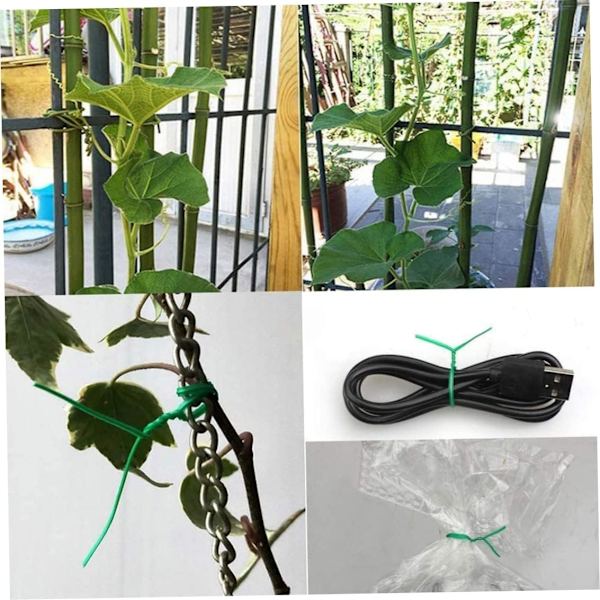 Trädgårdstråd Växt Twist Tie plastbelagd spole Sträng Mjuk för hemmakontor Växtfästning Diy Bonsai Flower Pot Support Strap Svart Krukverktyg Svart