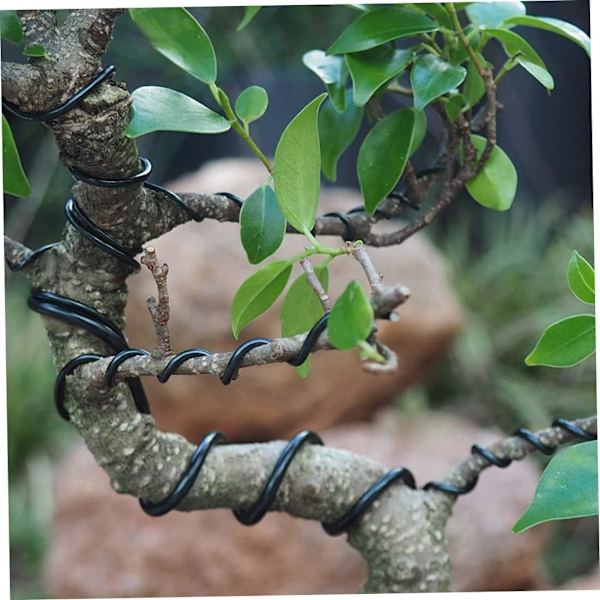 Trädgårdstråd Växt Twist Tie plastbelagd spole Sträng Mjuk för hemmakontor Växtfästning Diy Bonsai Flower Pot Support Strap Svart Krukverktyg Svart