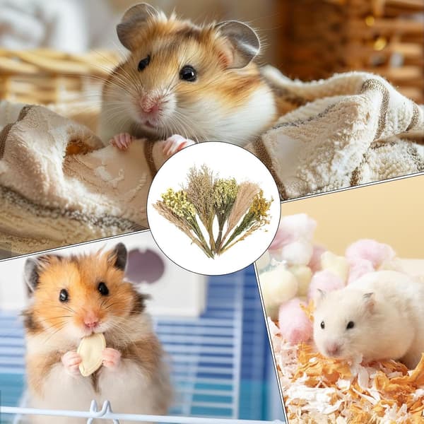 Blomstret Hamsterbur Tilbehør, Blomster Hø Seng til Væddeløbsmus A