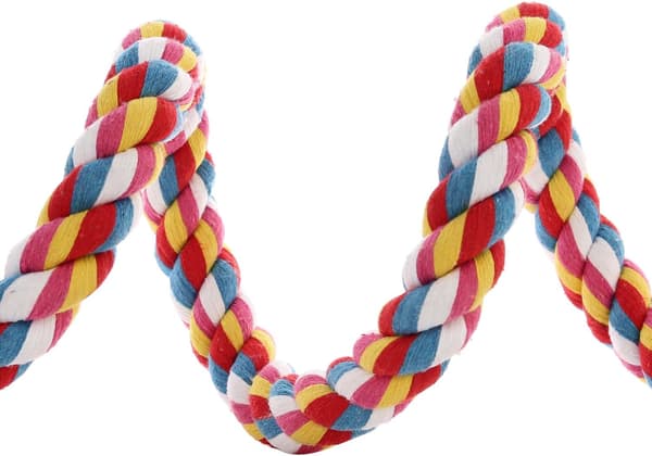21\" Fugletov med reb og elastik til papegøjer (1 pakke) Multicolor 21 inches