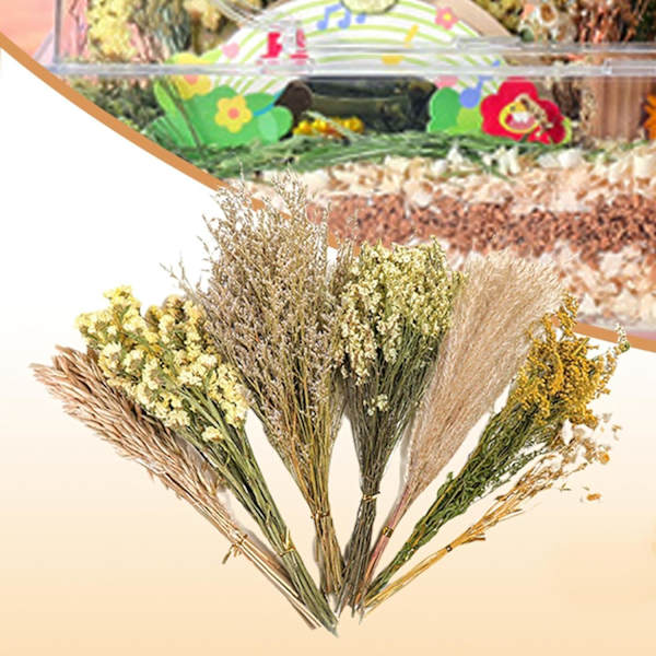 Blommiga Hamsterbur Tillbehör, Blomsterhöbädd för Springmöss A