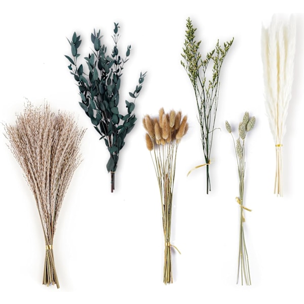 Tørret Pampas Græs, 65 stk Tørret Blomsterbuket, Fluffy Naturlig Pampas Græs Dekoration Perfekt til Boho Bryllupsdekoration i Soveværelse og Vase
