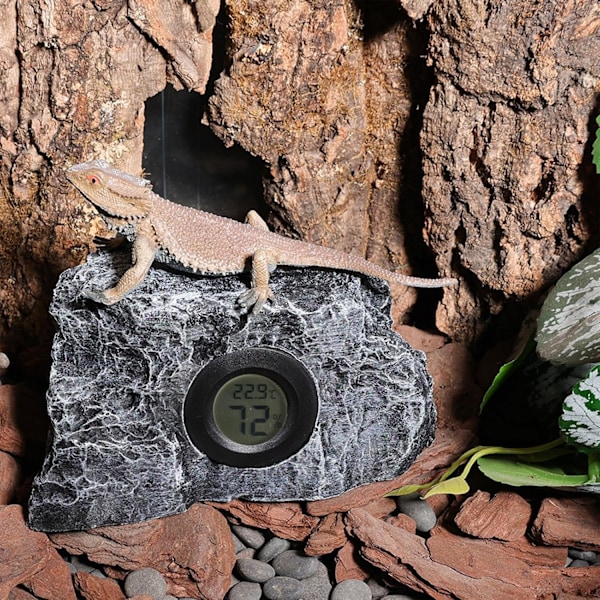 Akvarium Termometer, Stein Design Temperatur- og Fuktighetsmåler for Reptiler