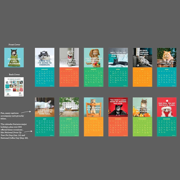 Arg Cat Kalender 2024, Kreativ Väggkalender för Kattälskare (2 st) 2 pcs