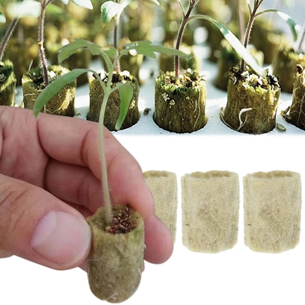 Rockwool-kub, Rock Wool-förökning Sub-Free-förökning, Jordbruk, Jordlös odling, Hydroponisk odling, 50 st utomhusliv