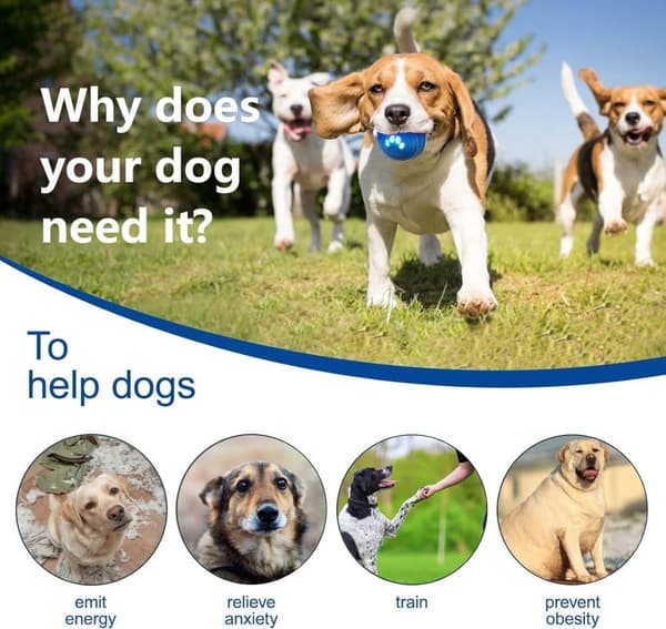 Lollanda Interaktiv Hundeball for Små/Mellomstore Hunder, 4 Moduser, TPU+PC, Vannresistent Blå