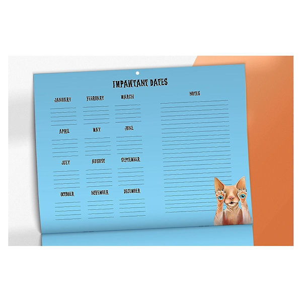 Scaredy Cats 2024 seinäkalenteri, kauhuelokuva Cat Parody 12 kuukauden seinäkalenteri