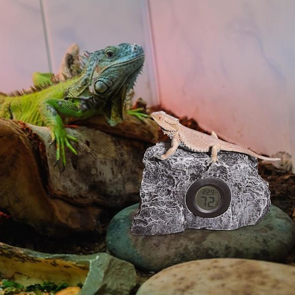 Akvarium Termometer, Stein Design Temperatur- og Fuktighetsmåler for Reptiler