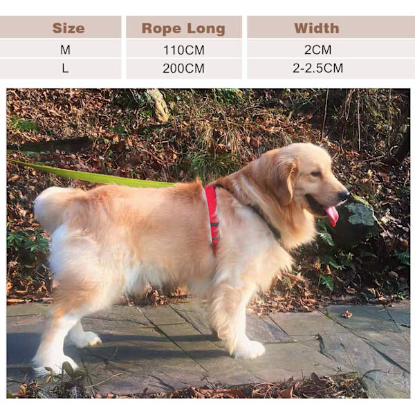 Hundekobbel Holdbart kjæledyrkobbel Polstret stropp for valp kjæledyrkobbel tau, reflekterende kobbel for hunder, 200 cm, grønn,