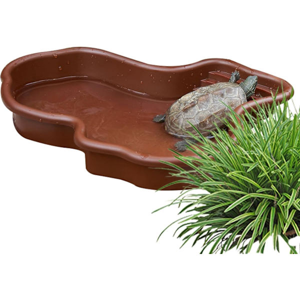 Liskojen vesikulho, terraariokulho kaltevalla ruokinta-alustalla With drainage