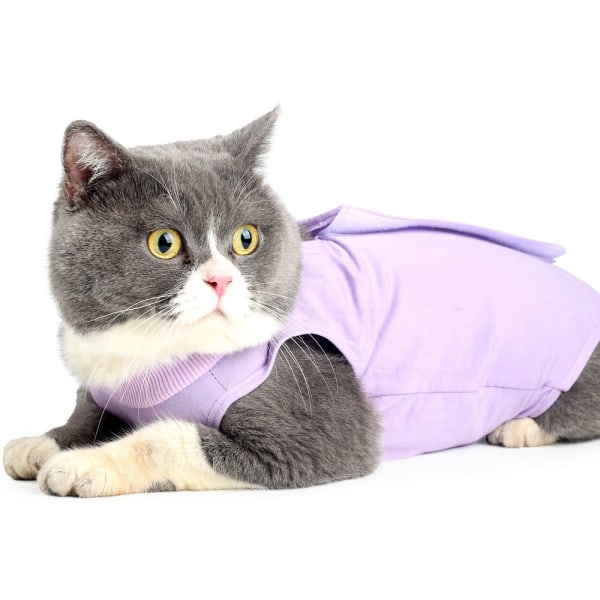CQBB 1st djurkläder Katt kastreringsdräkt avvänjning postoperativ L