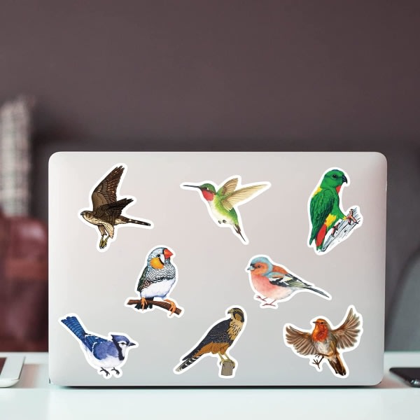 CQBB Söta akvarellfågelklistermärken för bärbar dator med vattenflaska, 50 st vattentät estetisk juldekoration för srapbookbagagedekoration