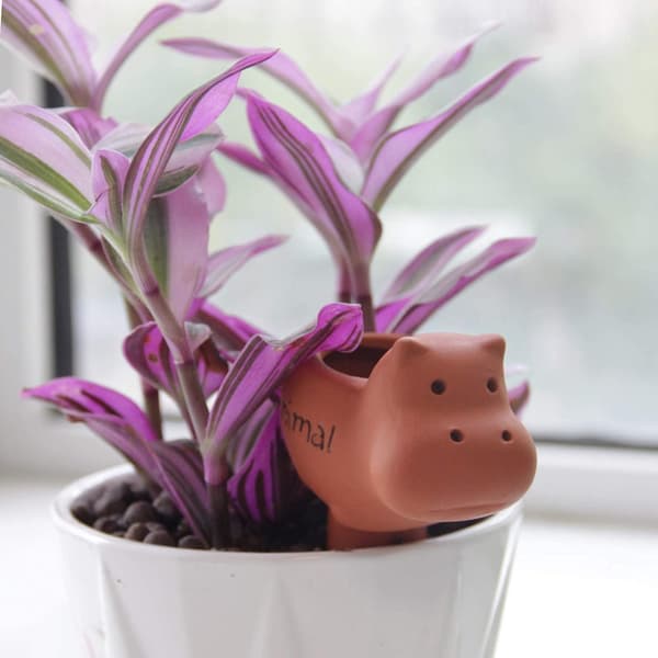 2-pak Terracotta Selvvandede Pigge til Indendørs Planter (Medium - Hippo) Medium -hippo