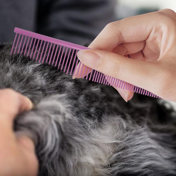 Hundekam, rustfritt stål kjæledyrpleiekamp (rosa, 1 stk)