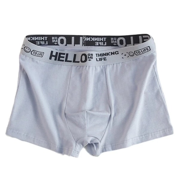 5 kpl Herrunderkläder Man Boxersexiga kalsonger Bekväma Andas Mode Pojkar Trosor Underkläder Boxershorts Herr 2PCS-Mix-03 Light Grey XXXL-75-90kg