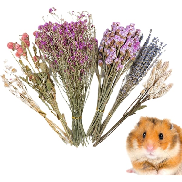 Blomstrete Hamsterbur Tilbehør, Blomster Høy Seng for Løpemus C