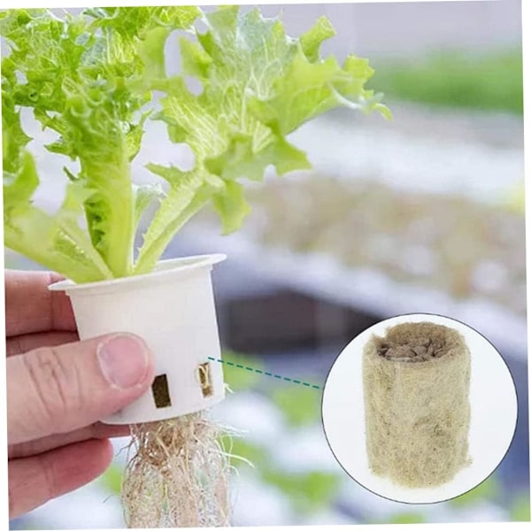 Rockwool Cube, Rockwool-propagering Sub-Free-propagering, Jordbruk, Jordlös odling, Hydroponisk odling, 50 PCS utomhusliv