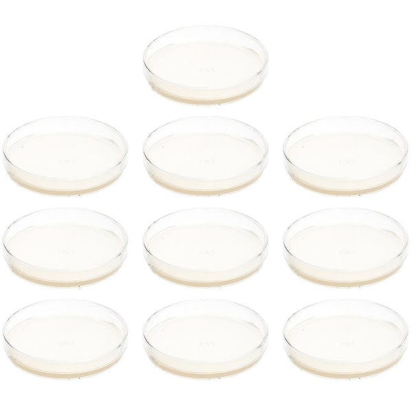 10 st förberedda agarplattor petriskålar med agarvetenskapsexperimenttillbehör