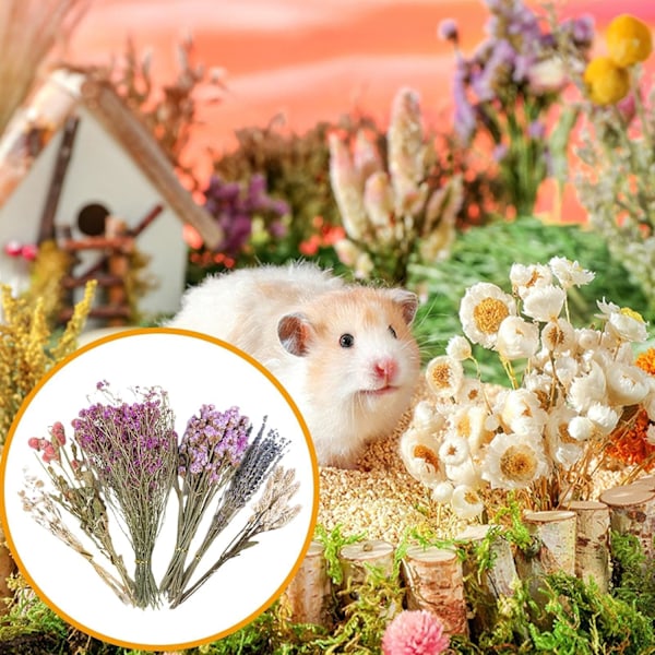 Blomstrete Hamsterbur Tilbehør, Blomster Høy Seng for Løpemus C