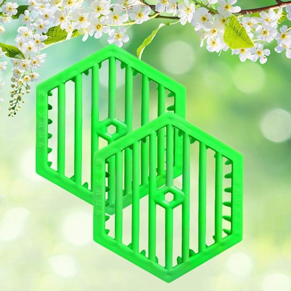 Premium Hexagon Drottningbi Bur Biodling Verktyg Slumpmässig Färg