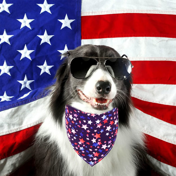 CQBB 4:e juli Hundbandanas 4-pack, Independence Day Dog Party M