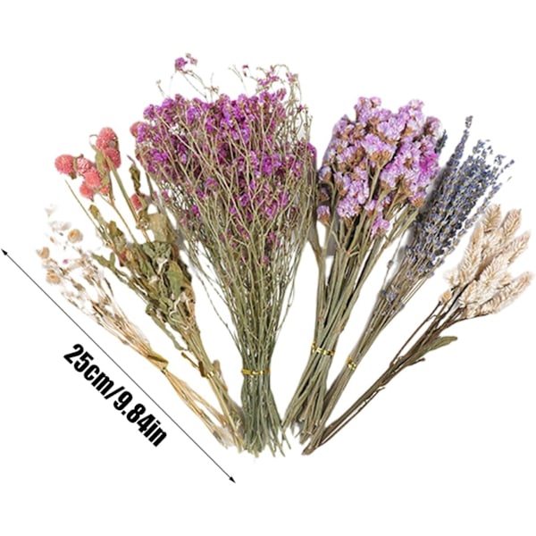 Blomstrete Hamsterbur Tilbehør, Blomster Høy Seng for Løpemus C