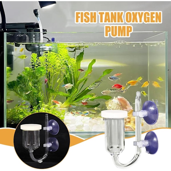 Stor fiske-tank oksygenforfiner, Atomisert oksygen-skive diffusor for Betta og reketank Great