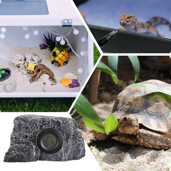 Akvarium Termometer, Stein Design Temperatur- og Fuktighetsmåler for Reptiler