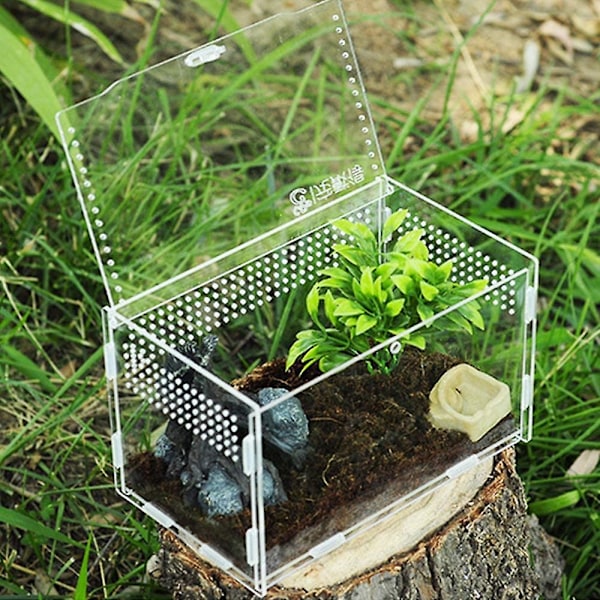 Insektfoderkasse, akryl terrarium beholder til edderkop øgle frø skorpion, kæledyr krybdyr habitatS S S