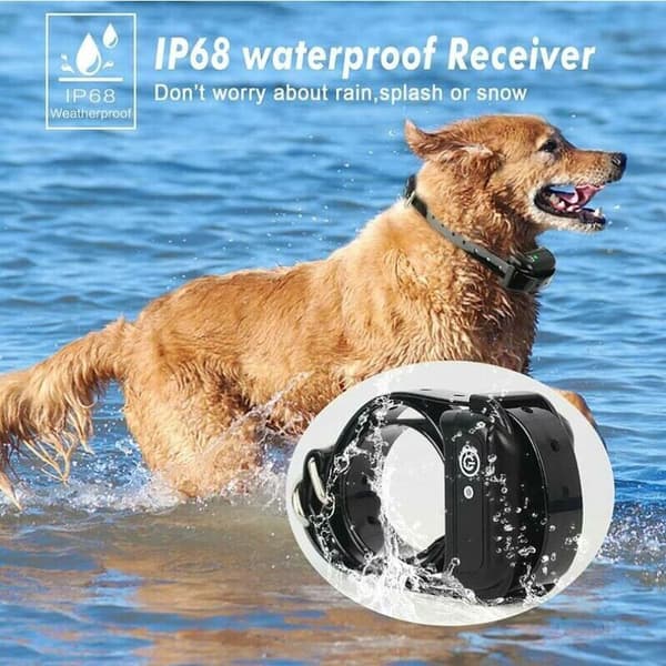 Trådlöst elektroniskt hundstängselsystem, invisible Pet Border Contai