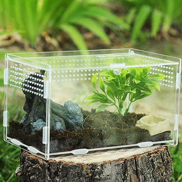 Insektfoderkasse, akryl terrarium beholder til edderkop øgle frø skorpion, kæledyr krybdyr habitatS S S