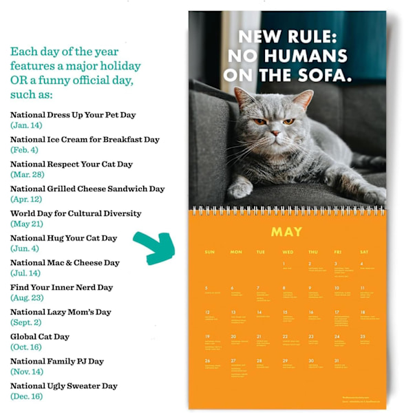 Arg Cat Kalender 2024, Kreativ Väggkalender för Kattälskare (2 st) 2 pcs