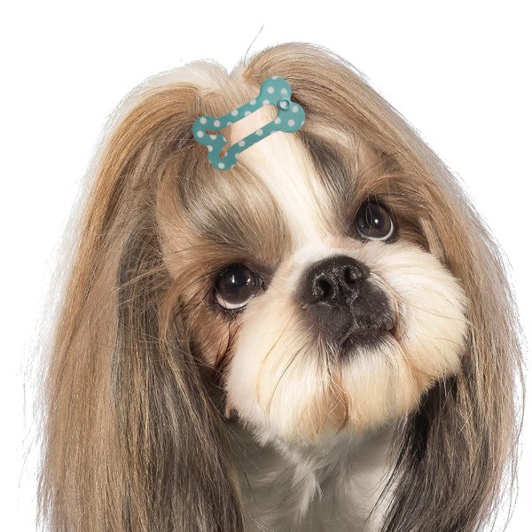 CQBB Söta 1" små bensnäppa hårklämmor för husdjursvård för hund shape3