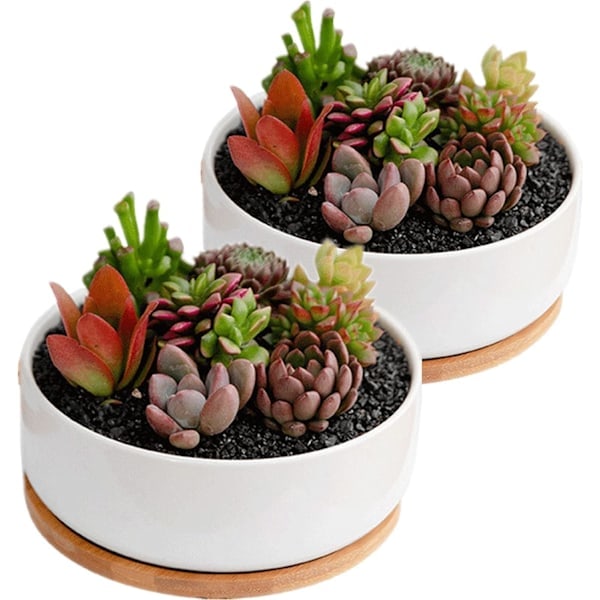 Blomukor Inomhus, 2-pakningssett Keramiske Blomsterpotter Planter, hvite Keramiske Potter Små Runde Potter for Hjemmekontordekorasjon