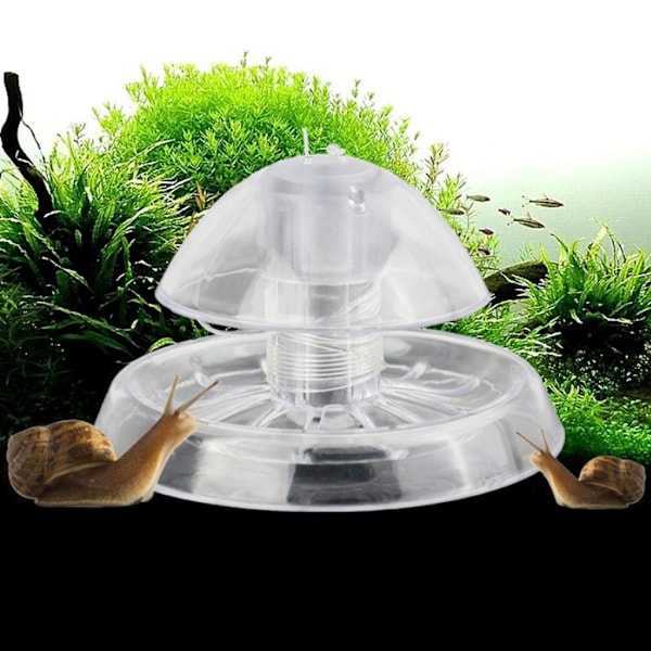 Sneglefelle i plast for akvarium - Sneglefelle for fisketank - Gjennomsiktig sneglefanger - Fiskeplanter - Igelfanger - Planariefangstboks for akvariefisk