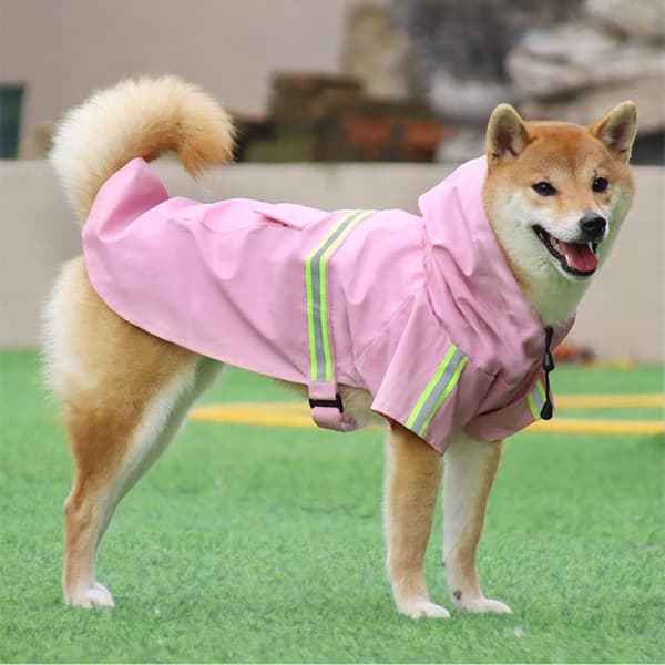 Vanntett regnfrakk til hund med hette og refleksstriper, ponchostil for mellomstore til store hunder, regnværsdager, blå, 5XL