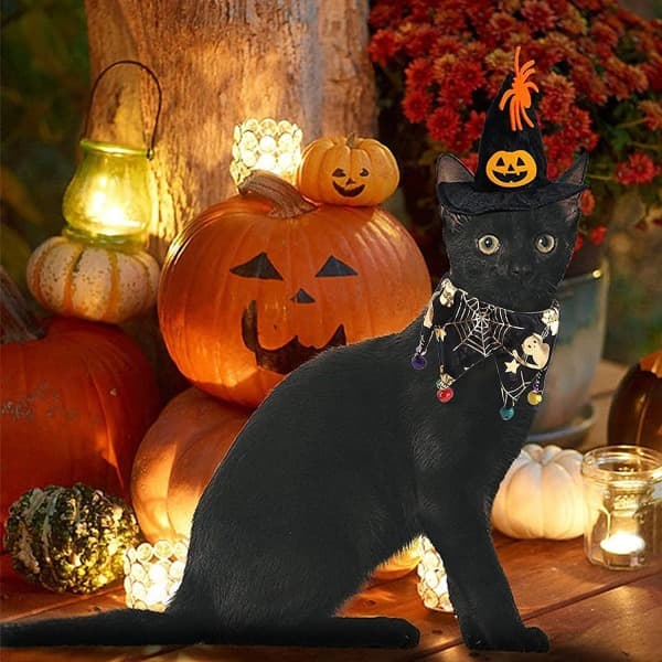 UnderholdningMaskeradeklærKostymerHalloween