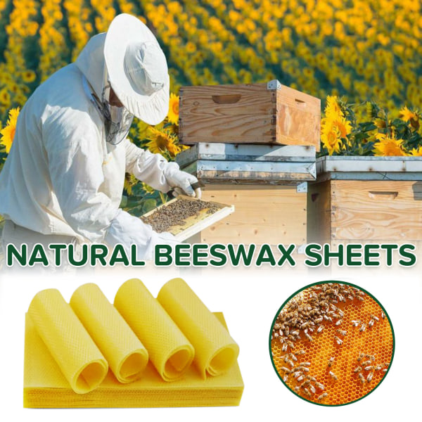 Naturligt bivax Bivax Honeycomb Foundation, 40 st