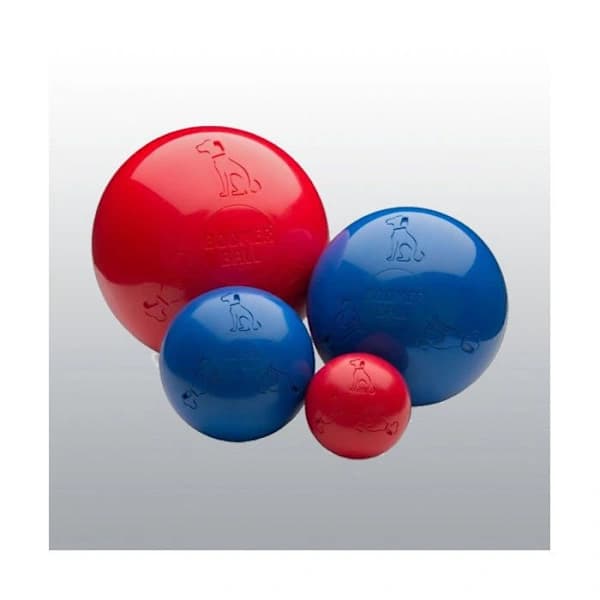 Boomer Ball 25cm[CO]