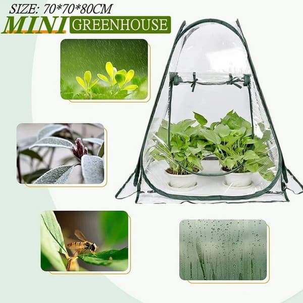 Bærbart minidrivhus, tykt PVC-trekk, sammenleggbart ventilert plantely for potteplanter og frøplanter, 70 x 70 x 80 cm