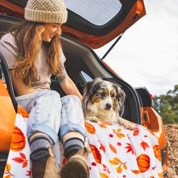 Efterårstæppe, Halloween Græskar Efterår Plys Efterårsindretning Fleece Fuzzy Picnic Tæppe til Sofa Sofaer Stole (50 \" x 60 \")（YSJ）