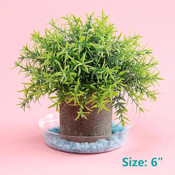 Transparenta Plastunderlägg för Växter - 20-pack, 15 cm