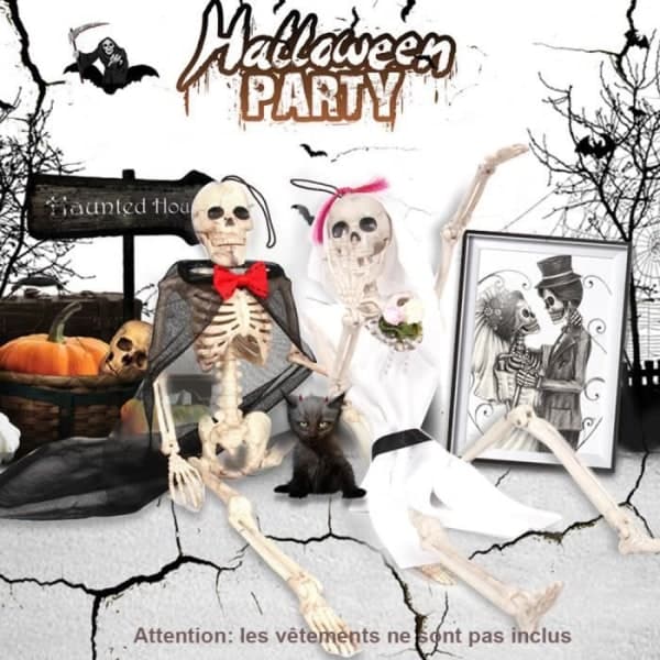 UnderholdningFest & VitserFest & FeiringerHalloweendekorasjon